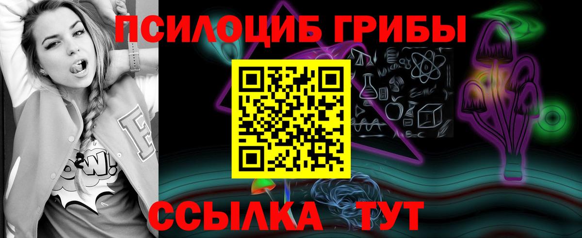 Миллерово  Псилоцибиновые грибы ЛСД  Псилоцибиновые грибы мухоморы  Вход с VPN 